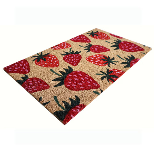 StyleWell 18 inch x 30 inch Strawberry Coir Door Mat