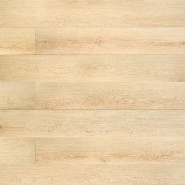 TrafficMaster Dapplewood 7-inch W x 48-inch L Laminate Flooring (17.95 sq.ft./case)