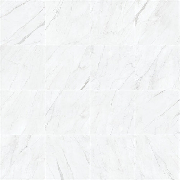 Anatolia 24-inch x 24-inch Virtus Carbona Matte Rectified Porcelain Tile (Copy)