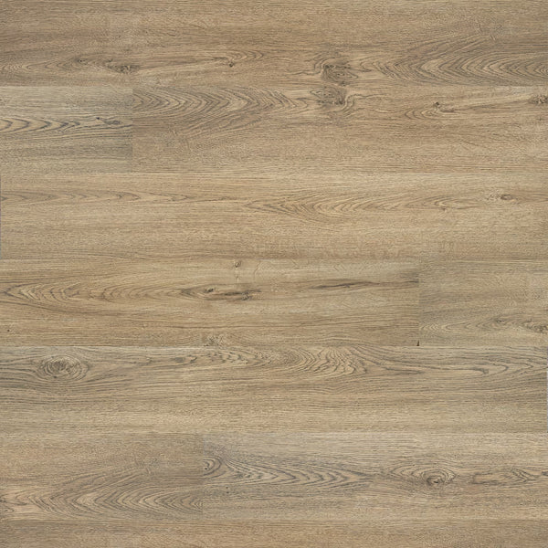 Revêtement de sol stratifié Home Decorators Collection, chêne Amber Haze, 7 po l x 48 po L (15,39 pi²/boîte)