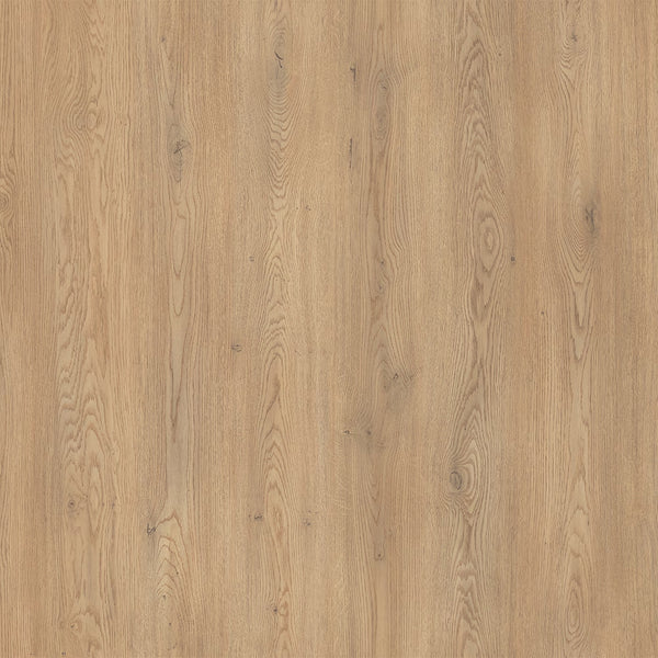 Revêtement de sol stratifié Home Decorators Collection, chêne du Sud, 14 mm x 7,6 po x 54,45 po (17,24 pi²/boîte)