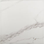 Load image into Gallery viewer, MSI Stone ULC Notorious Marbre Porcelain Tile 35 inch x 35 inch – 17.01 sq. ft. per Case Matte Marble Look Finish