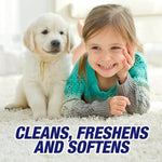 Load image into Gallery viewer, Resolve 650 mL Triple Action Carpet Stain Remover – Powerful Carpet Cleaner
