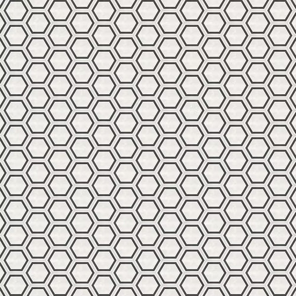 Anatolia Artisano Bianco Frame 7 inch Matte Pressed Porcelain Tile 2.80 sq ft per Case Hexagon