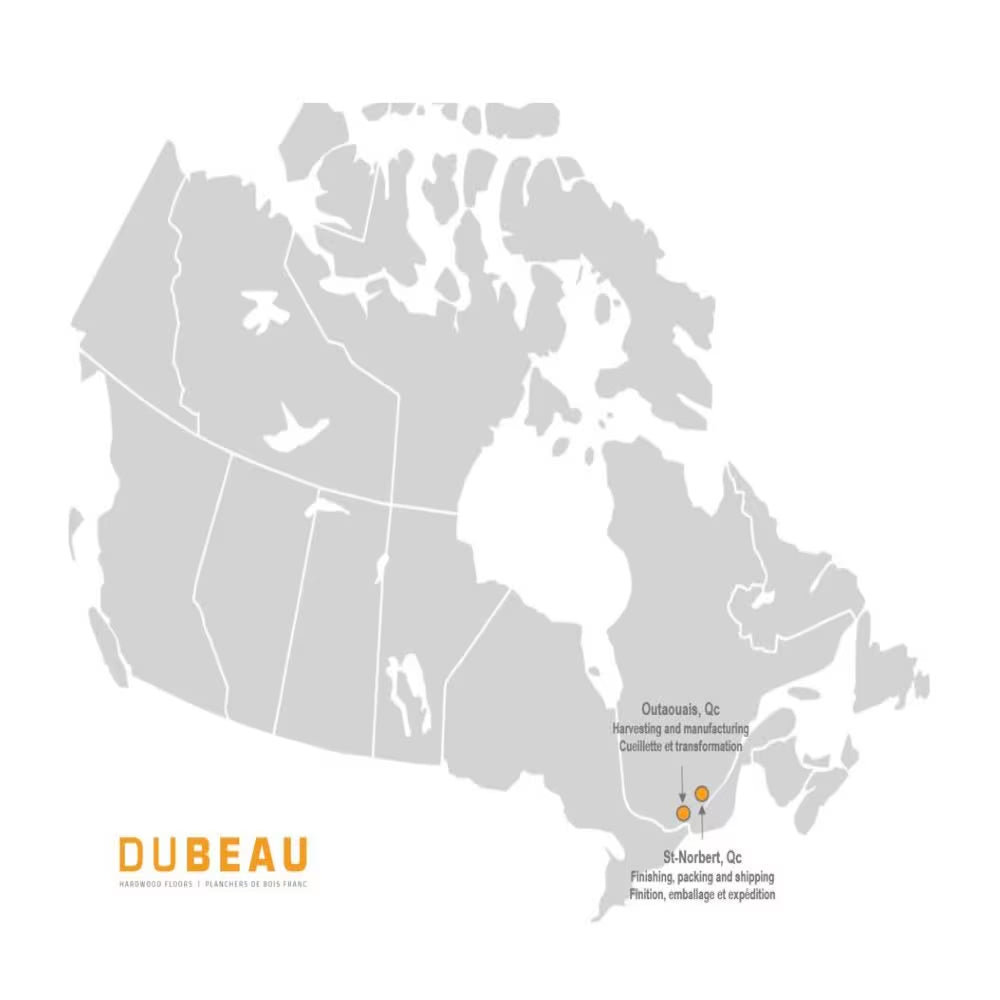 Plancher en érable massif Tremblant mat de Dubeau Floors, épaisseur de ¾ po x largeur de 3¼ po x longueur variable (20 pi2/caisse)