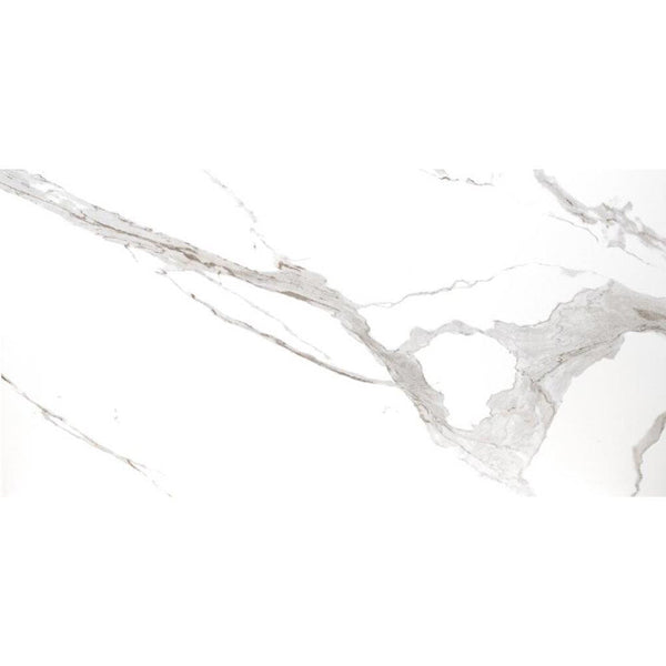 MSI Ader Tegal 24 inch x 48 inch Polished Porcelain Floor and Wall Tile – 16 sq.ft. per Case